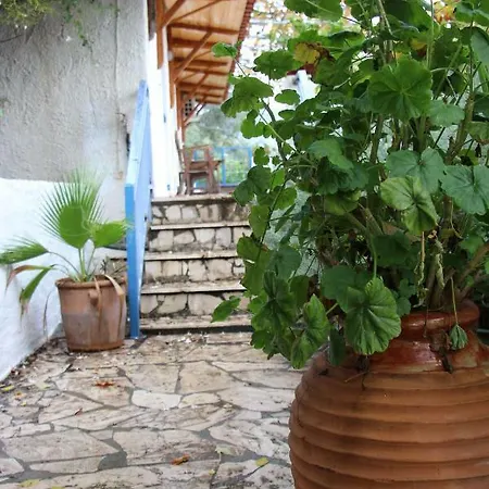 Krassi Epidaurus
