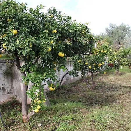 ヴィラ Krassi エピダウロス