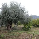Krassi *