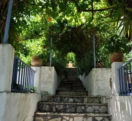 Krassi * Epidaurus